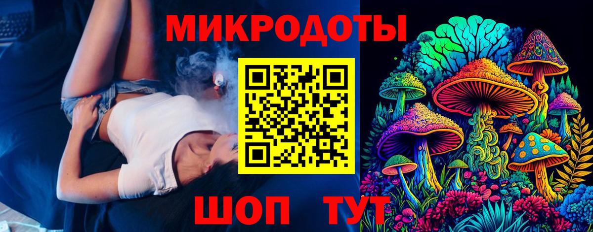 Галлюциногенные грибы Psilocybe Нижнеудинск