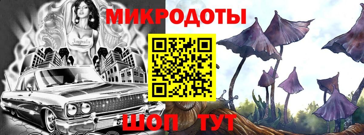 Псилоцибиновые грибы Psilocybe  Вход с VPN  Нижнеудинск 