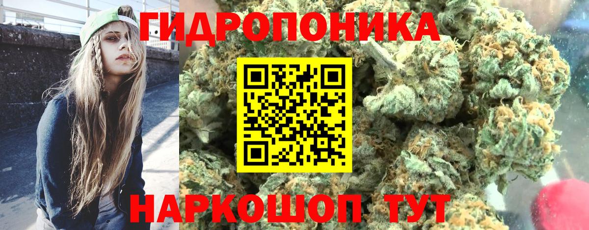 Бошки марихуана Amnesia Нижнеудинск